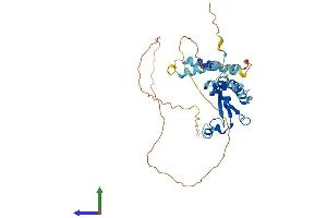 Protein Structure (PS) image for Protein Quaking (QKI) (AA 1-341) protein (His tag) (ABIN7565159)