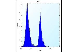 ST5 Antibody (C-term) (ABIN652186 and ABIN2840676) flow cytometric analysis of  cells (right histogram) compared to a negative control cell (left histogram). (ST5 抗体  (C-Term))