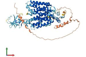 Protein Structure (PS) image for Solute Carrier Family 22 (Organic Cation Transporter), Member 16 (SLC22A16) (AA 1-649) protein (His tag) (ABIN7563774)