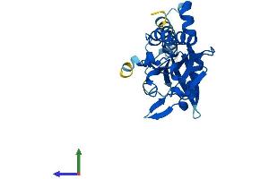 Protein Structure (PS) image for CTD Nuclear Envelope Phosphatase 1a (CTDNEP1A) (AA 1-244) protein (His tag) (ABIN7557075)