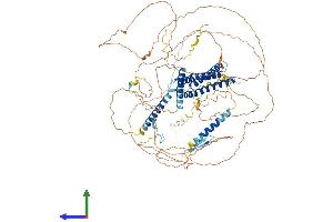 AlphaFold protein structure predicition of Human Recombinant DLGAP5 Protein, UniprotID Q15398