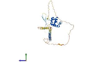 Protein Structure (PS) image for Sex Comb On Midleg-Like 1 (SCML1) (AA 1-329) protein (His tag) (ABIN7551698)