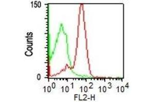 FACS Analysis of human PBMC using CD43 Mouse Monoclonal Antibody (DF-T1) (Red); Isotype Control (Green).