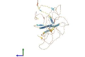 Protein Structure (PS) image for Consortin, Connexin Sorting Protein (CNST) (AA 1-711) protein (His tag) (ABIN7559232)
