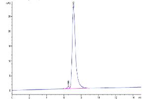 The purity of Mouse VEGF R2 is greater than 95 % as determined by SEC-HPLC.