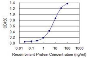 Detection limit for recombinant GST tagged SNX16 is 0. (SNX16 抗体  (AA 1-344))