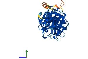 Protein Structure (PS) image for Lectin, Galactoside-Binding, Soluble, 8 (LGALS8) (AA 1-316) protein (His tag) (ABIN7561660)