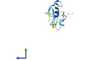 Protein Structure (PS) image for Ring-Box 1, E3 Ubiquitin Protein Ligase (RBX1) (AA 1-108) protein (His tag) (ABIN7555129)