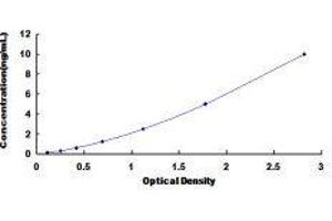 ELISA image for Kruppel-Like Factor 5 (Intestinal) (KLF5) ELISA Kit (ABIN417222)