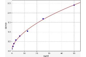 Typical standard curve (PRSS2 ELISA 试剂盒)