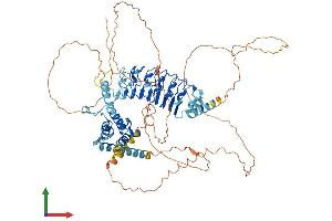 Protein Structure (PS) image for Leucine-Rich Repeats and Calponin Homology (CH) Domain Containing 1 (LRCH1) (AA 1-709) protein (His tag) (ABIN7556595)