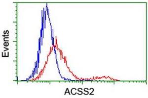 HEK293T cells transfected with either RC204260 overexpress plasmid (Red) or empty vector control plasmid (Blue) were immunostained by anti-ACSS2 antibody (ABIN2455075), and then analyzed by flow cytometry.
