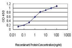 Detection limit for recombinant GST tagged NGB is approximately 0. (Neuroglobin 抗体  (AA 1-151))