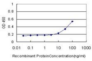 Detection limit for recombinant GST tagged MEF2A is approximately 10ng/ml as a capture antibody. (MEF2A 抗体  (AA 71-170))