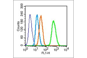 Image no. 4 for anti-Nanog Homeobox (NANOG) (AA 71-170) antibody (ABIN728758)