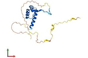 AlphaFold protein structure predicition of Human Recombinant DLX6 Protein, UniprotID P56179