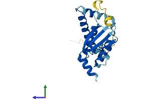 Protein Structure (PS) image for Trafficking Protein Particle Complex 5 (TRAPPC5) (AA 1-188) protein (His tag) (ABIN7544766)