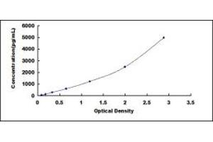 ELISA image for Cold Inducible RNA Binding Protein (CIRBP) ELISA Kit (ABIN436568)
