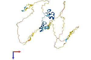 ZFP36 Protein (AA 1-326) (His tag)