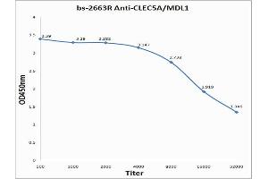 ELISA image for anti-C-Type Lectin Domain Family 5, Member A (CLEC5A) (AA 101-190) antibody (ABIN748763)