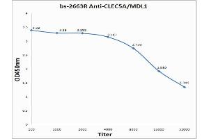 Antigen: 0. (CLEC5A 抗体  (AA 101-190))