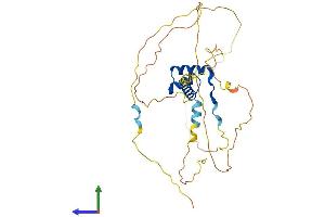 AlphaFold protein structure predicition of Mouse Recombinant Pitx1 Protein, UniprotID P70314
