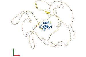 Protein Structure (PS) image for Forkhead Box O6 (Foxo6) (AA 1-559) protein (His tag) (ABIN7558150)