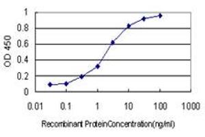 Detection limit for recombinant GST tagged NUDC is approximately 0. (NUDC 抗体  (AA 1-331))