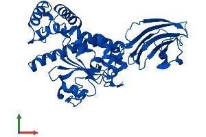 Protein Structure (PS) image for SEC14-Like 3 (SEC14L3) (AA 1-400) protein (His tag) (ABIN7551612)