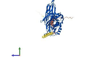 Protein Structure (PS) image for F-Box Protein 3 (FBXO3) (AA 1-471) protein (His tag) (ABIN7547532)