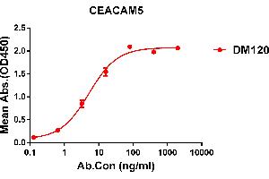 ELISA plate pre-coated by 1 μg/mL (100 μL/well) Human CEACAM5 protein, His tagged protein ((ABIN6961129, ABIN7042287 and ABIN7042288)) can bind Rabbit anti-CEACAM5 monoclonal antibody(clone: DM120) in a linear range of 0. (CEACAM5 抗体  (AA 35-685))