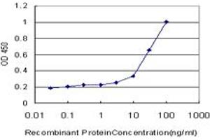 Detection limit for recombinant GST tagged CAMK2A is approximately 0. (CAMK2A 抗体  (AA 305-410))