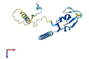 RNF181 Protein (AA 1-165) (His tag)