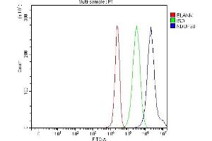Flow Cytometry analysis of 293T cells using anti-NDUFS8 antibody (ABIN7599086).