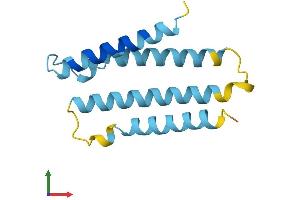 AlphaFold protein structure predicition of Mouse Recombinant Tmem60 Protein, UniprotID Q8K174 (TMEM60 Protein (AA 1-133) (His tag))
