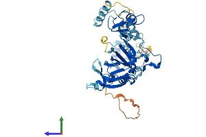 Protein Structure (PS) image for Small Nuclear RNA Activating Complex, Polypeptide 3, 50kDa (SNAPC3) (AA 1-411) protein (His tag) (ABIN7546185)