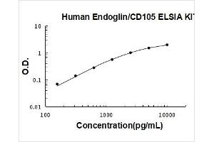Endoglin (ENG) ELISA Kit