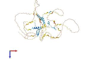 Proline Rich 14 (PRR14) (AA 1-585) protein (His tag)
