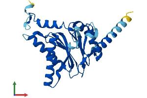 Protein Structure (PS) image for Proteasome Subunit alpha 8 (PSMA8) (AA 1-250) protein (His tag) (ABIN7560665)