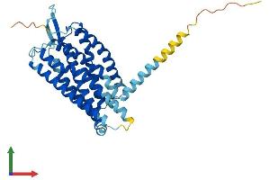 Protein Structure (PS) image for Platelet-Activating Factor Receptor (PTAFR) (AA 1-342) protein (His tag) (ABIN7551095)