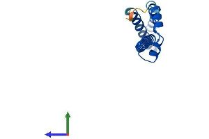Protein Structure (PS) image for Mediator Complex Subunit 10 (MED10) (AA 1-135) protein (His tag) (ABIN7549391)