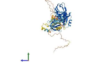 Protein Structure (PS) image for PDZ Domain Containing 3 (PDZD3) (AA 1-498) protein (His tag) (ABIN7560408)