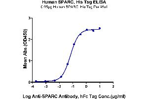 ELISA image for Secreted Protein, Acidic, Cysteine-Rich (Osteonectin) (SPARC) (AA 18-303) protein (His tag) (ABIN7275640)