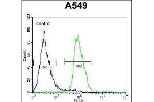 Flow Cytometry (FACS) image for anti-DDB1 and CUL4 Associated Factor 10 (DCAF10) (AA 113-142), (N-Term) antibody (ABIN654593)