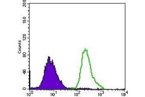 Flow cytometric analysis of HepG2 cells using P2RY13 mouse mAb (green) and negative control (purple).