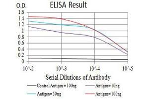 Black line: Control Antigen (100 ng),Purple line: Antigen (10 ng), Blue line: Antigen (50 ng), Red line:Antigen (100 ng) (GRIK5 抗体  (AA 21-166))
