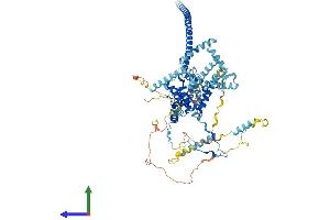 Protein Structure (PS) image for CDC5 Cell Division Cycle 5-Like (S. Pombe) (CDC5L) (AA 1-802) protein (His tag) (ABIN7564035)