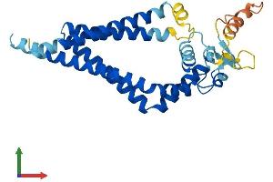 AlphaFold protein structure predicition of Mouse Recombinant Cd37 Protein, UniprotID Q61470