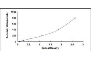 Typical standard curve (CD90 ELISA 试剂盒)