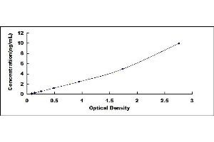 Typical standard curve (CCR7 ELISA 试剂盒)